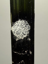 Load image into Gallery viewer, Dark Green Cap Stak Nala Tourmaline with Cleavelandite Flower – Haramosh Mountains, Pakistan | Thumbnail Specimen