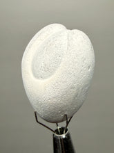 Load image into Gallery viewer, Chichaoua Menalite “Fairy Stone” Concretion | Natural Collector Display Specimen | Morocco
