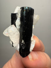 Load image into Gallery viewer, Dark Green Cap Stak Nala Tourmaline on Cleavelandite Matrix – Haramosh Mountains, Pakistan