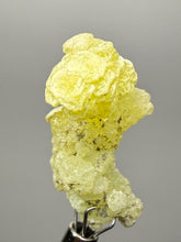 Load image into Gallery viewer, Vibrant Yellow Brucite Thumbnail Mineral Specimen | Collector Crystal from Killa Saifullah District in Balochistan Province, Pakistan