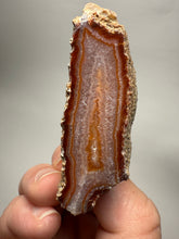 Load image into Gallery viewer, High-Grade Indonesian Sumatra Agate Pair – Vibrant Banded Chalcedony with Rich Color Zoning | Ethical Lapidary & Collector Display Specimens