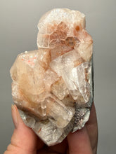 Load image into Gallery viewer, Rare Red Apophyllite Crystal Cluster – High Grade Collector Mineral Specimen | India