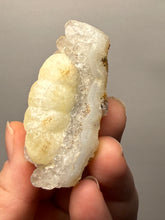 Load image into Gallery viewer, Rare Botryoidal Yellow Fluorite on Quartz Matrix Collector Mineral Specimen – Maharashtra, India