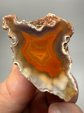 Load image into Gallery viewer, Polished Malawi Agate Half – High-Grade African Banded Agate Display Specimen