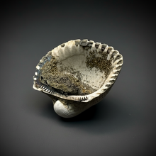 Load image into Gallery viewer, Bivalve (Pelecypoda) Fossil Sea Shell with Chalcopyrite | Mineralized Fossil Specimen | Indonesia