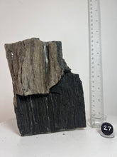 Load image into Gallery viewer, Black Druzy Petrified Wood from Indonesia