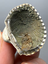 Load image into Gallery viewer, Bivalve (Pelecypoda) Fossil Sea Shell with Chalcopyrite | Mineralized Fossil Specimen | Indonesia