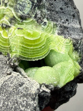 Load image into Gallery viewer, High-Grade Green Wavellite Collectors Specimen - Radiating Botryoidal Crystal Formation - Arkansas, USA