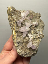 Load image into Gallery viewer, High-Grade Vera Cruz Amethyst Cluster on Andesite Matrix | Piedra Parada (Las Vigas District), Veracruz, Mexico