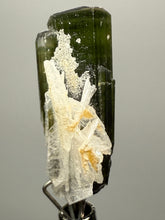Load image into Gallery viewer, Green Cap Stak Nala Tourmaline with Cleavelandite – Haramosh Mountains, Pakistan | Thumbnail Specimen