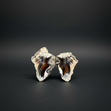 Load image into Gallery viewer, High-Grade Indonesian Sumatra Agate Pair – Vibrant Banded Chalcedony with Rich Color Zoning | Ethical Lapidary & Collector Display Specimens
