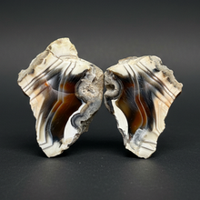 Load image into Gallery viewer, High-Grade Indonesian Sumatra Agate Pair – Vibrant Banded Chalcedony with Rich Color Zoning | Ethical Lapidary & Collector Display Specimens