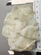 Load image into Gallery viewer, Rare Druzy Golden “Diamond” Calcite on Zeolite Matrix — Maharashtra, India | Collector Cabinet Specimen