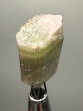 Load image into Gallery viewer, Raw Bi-Color Pink and Green Tourmaline Crystal Specimen | Ocean View Mine, Pala, California, USA