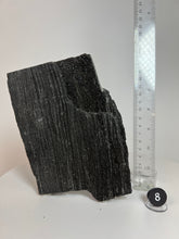 Load image into Gallery viewer, Black Druzy Petrified Wood from Indonesia