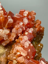 Load image into Gallery viewer, Natural Vanadinite on Matrix | Collector Mineral Specimen | Morocco