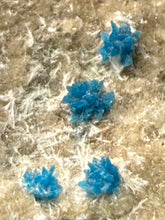 Load image into Gallery viewer, Rare Electric Blue Pentagonite & Cavansite on Druzy Matrix | Collector Mineral Specimen | Wagholi Quarry, India