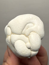 Load image into Gallery viewer, Chichaoua Menalite “Fairy Stone” Concretion | Natural Collector Display Specimen | Morocco