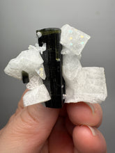 Load image into Gallery viewer, Dark Green CapStak Nala Tourmaline on Cleavelandite Matrix – Haramosh Mountains, Pakistan