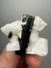 Load image into Gallery viewer, Dark Green CapStak Nala Tourmaline on Cleavelandite Matrix – Haramosh Mountains, Pakistan
