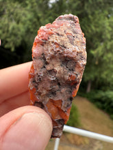 Load image into Gallery viewer, “Glowing Flame of the Atlas” – Fiery Red Orange Carnelian Agate from Morocco • Polished