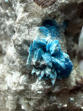 Load image into Gallery viewer, Rare Electric Blue Cavansite on Druzy Matrix – Collector Mineral Specimen | India