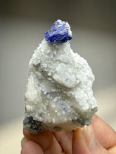 Load image into Gallery viewer, Afghan Lazurite Specimen | Deep Blue Lapis-Grade Crystal on Matrix | Collector Display Mineral