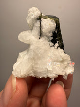 Load image into Gallery viewer, Blue Cap Dark Green Stak Nala Tourmaline on Cleavelandite Matrix – Haramosh Mountains, Pakistan