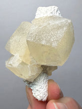 Load image into Gallery viewer, Rare Druzy Golden “Diamond” Calcite on Zeolite Matrix — Maharashtra, India | Collector Cabinet Specimen