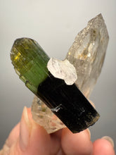 Load image into Gallery viewer, Dark Green Cap Stak Nala Tourmaline w Cleavelandite and Quartz Matrix – Haramosh Mountains, Pakistan