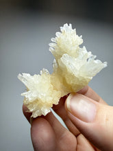 Load image into Gallery viewer, High-Grade Coral Aragonite Crystal Specimen – Wenshan Mine, Yunnan, China