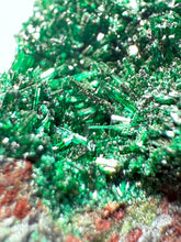 Load image into Gallery viewer, Brochantite Collector Mineral Specimen – Vivid Green Copper Crystals from Morocco
