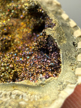 Load image into Gallery viewer, Bivalve (Pelecypoda) Fossil Sea Shell with Chalcopyrite | Mineralized Fossil Specimen | Indonesia