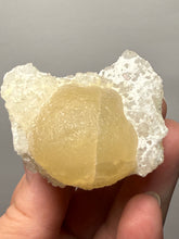 Load image into Gallery viewer, Rare Botryoidal Yellow Fluorite on Quartz Matrix Collector Mineral Specimen – Maharashtra, India