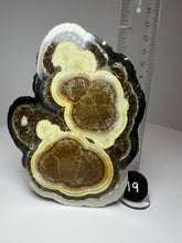 Load image into Gallery viewer, BARITE, MARCASITE Polished Free Form • Lubin Mine, KGHM, Lubin District, Legnica, Lower Silesial, Poland