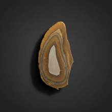 Load image into Gallery viewer, Stromatolite Fossil Slice | Ancient Microbial Reef Structure | Morocco