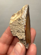 Load image into Gallery viewer, Premium Sumatra Agate (Banded Chalcedony) Display Specimen | Indonesia