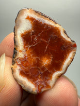 Load image into Gallery viewer, Lot of 9 Small Malawi Agate Halves – Polished Rare Colorful Collector Specimens