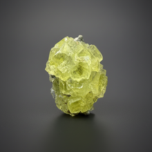 Load image into Gallery viewer, Vibrant Yellow Brucite Thumbnail Mineral Specimen | Collector Crystal from Killa Saifullah District in Balochistan Province, Pakistan