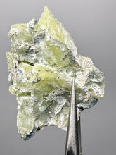 Load image into Gallery viewer, Vibrant Yellow Brucite Thumbnail Mineral Specimen | Collector Crystal from Killa Saifullah District in Balochistan Province, Pakistan