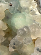 Load image into Gallery viewer, Blue-Green Chrysocolla in Botryoidal Chalcedony Cabinet Specimen | Indonesia