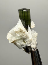 Load image into Gallery viewer, Dark Green Stak Nala Tourmaline and Cleavelandite – Haramosh Mountains, Pakistan | Thumbnail Specimen
