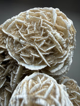Load image into Gallery viewer, Desert Rose Selenite (Gypsum) — Mineral Display Specimen | Mexico