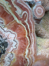 Load image into Gallery viewer, Rhodochrosite Free Form Collector Mineral Display Specimen — Argentina