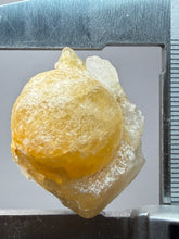 Load image into Gallery viewer, Rare Botryoidal Yellow Fluorite on Quartz Matrix Collector Mineral Specimen – Maharashtra, India