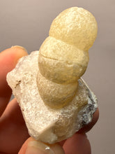 Load image into Gallery viewer, Rare Botryoidal Yellow Fluorite on Quartz Matrix Collector Mineral Specimen – Maharashtra, India
