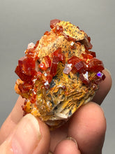 Load image into Gallery viewer, Natural Vanadinite on Matrix | Collector Mineral Specimen | Morocco