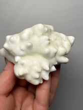 Load image into Gallery viewer, Superb White Flos Ferri Aragonite “Flower of Iron” Mineral Specimen | Lom Vitošov, Czech Republic