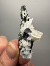 Load image into Gallery viewer, Blue and Dark Green Cap Stak Nala Tourmaline on Cleavelandite Matrix – Haramosh Mountains, Pakistan