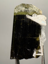 Load image into Gallery viewer, Green Cap Stak Nala Tourmaline with Cleavelandite – Haramosh Mountains, Pakistan | Thumbnail Specimen